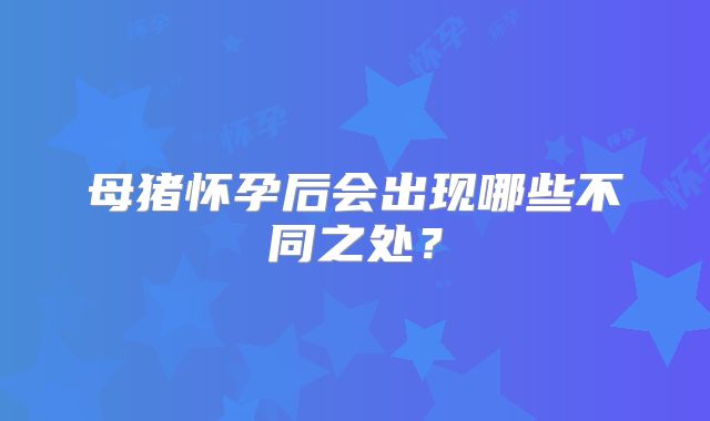 母猪怀孕后会出现哪些不同之处?