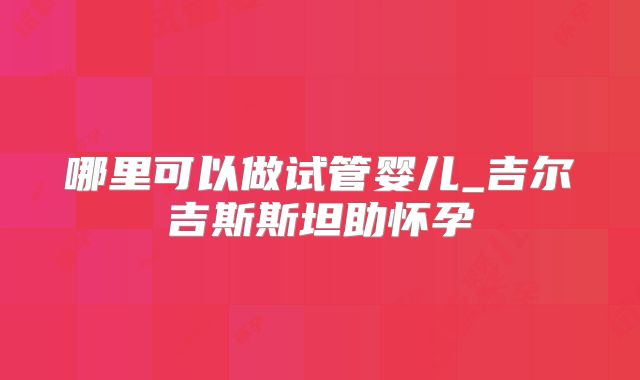 哪里可以做试管婴儿_吉尔吉斯斯坦助怀孕