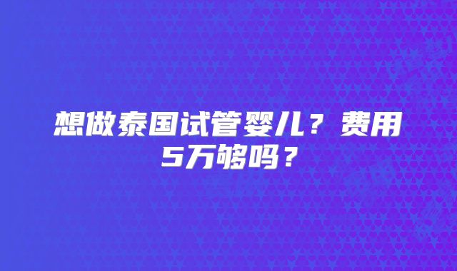 想做泰国试管婴儿？费用5万够吗？