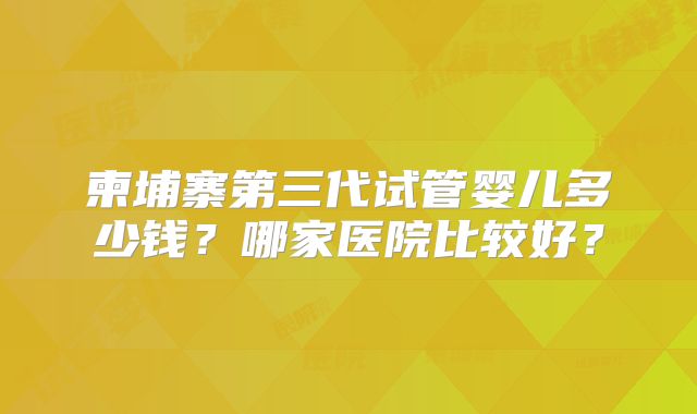 柬埔寨第三代试管婴儿多少钱？哪家医院比较好？