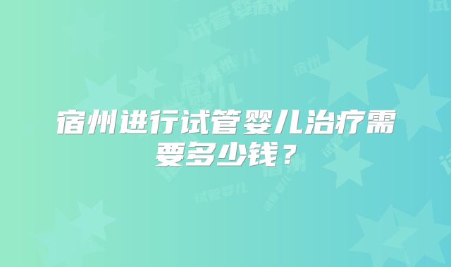 宿州进行试管婴儿治疗需要多少钱？