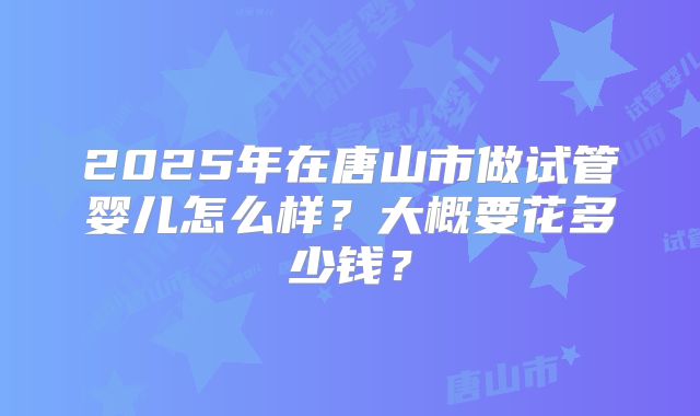 2025年在唐山市做试管婴儿怎么样？大概要花多少钱？
