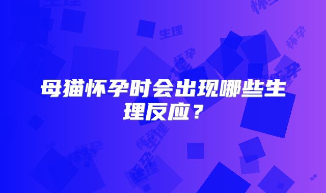 母猫怀孕时会出现哪些生理反应？