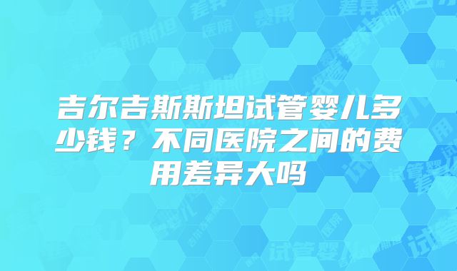 吉尔吉斯斯坦试管婴儿多少钱？不同医院之间的费用差异大吗