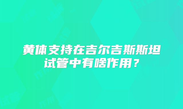 黄体支持在吉尔吉斯斯坦试管中有啥作用？