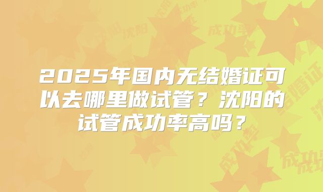 2025年国内无结婚证可以去哪里做试管？沈阳的试管成功率高吗？
