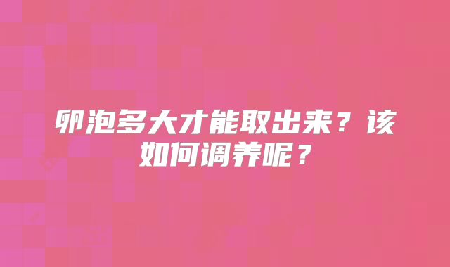 卵泡多大才能取出来？该如何调养呢？