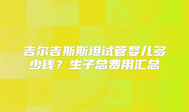 吉尔吉斯斯坦试管婴儿多少钱？生子总费用汇总
