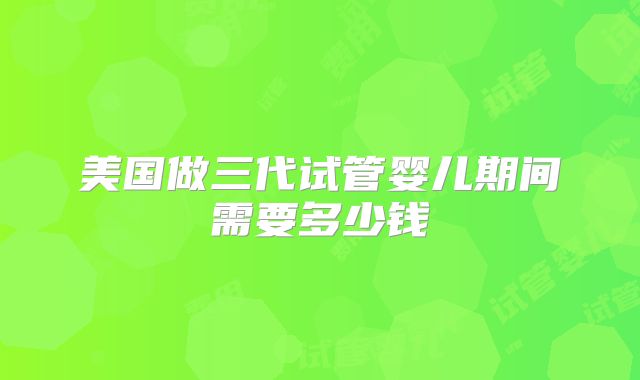 美国做三代试管婴儿期间需要多少钱