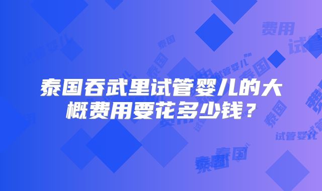 泰国吞武里试管婴儿的大概费用要花多少钱？