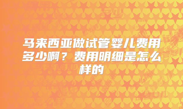 马来西亚做试管婴儿费用多少啊?费用明细是怎么样的