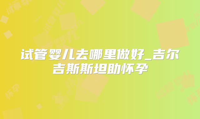试管婴儿去哪里做好_吉尔吉斯斯坦助怀孕
