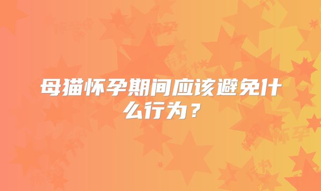 母猫怀孕期间应该避免什么行为？