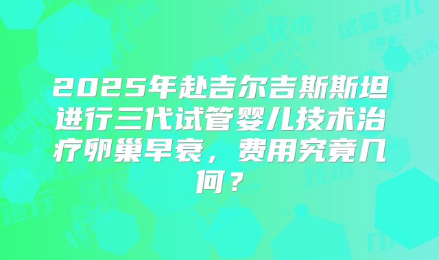 2025年赴吉尔吉斯斯坦进行三代试管婴儿技术治疗卵巢早衰，费用究竟几何？