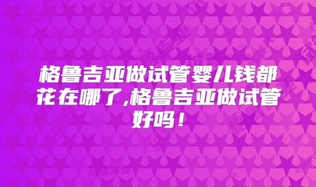 格鲁吉亚做试管婴儿钱都花在哪了,格鲁吉亚做试管好吗!