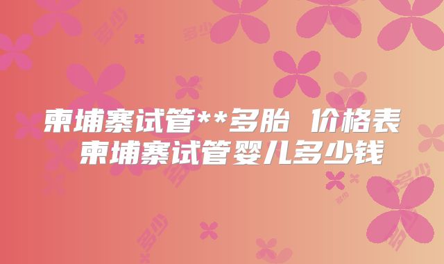 柬埔寨试管**多胎 价格表 柬埔寨试管婴儿多少钱