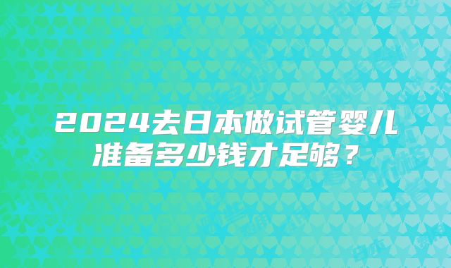 2024去日本做试管婴儿准备多少钱才足够?
