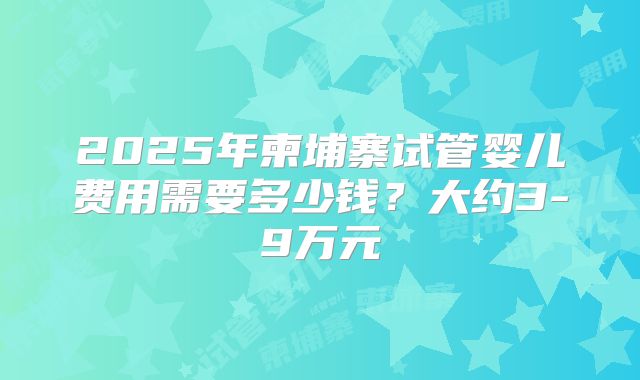 2025年柬埔寨试管婴儿费用需要多少钱?大约3-9万元