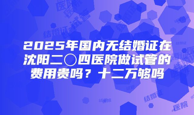 2025年国内无结婚证在沈阳二〇四医院做试管的费用贵吗？十二万够吗