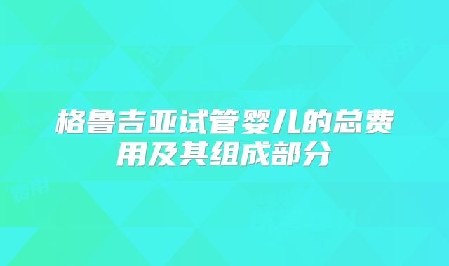格鲁吉亚试管婴儿的总费用及其组成部分