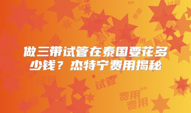 做三带试管在泰国要花多少钱?杰特宁费用揭秘