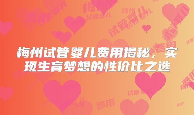 梅州试管婴儿费用揭秘，实现生育梦想的性价比之选