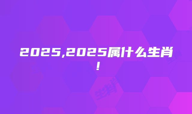 2025,2025属什么生肖!