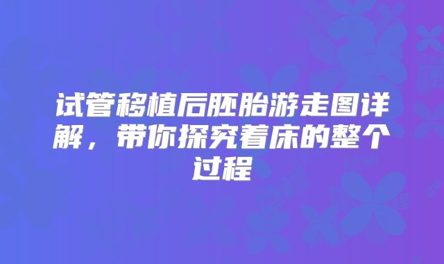 试管移植后胚胎游走图详解，带你探究着床的整个过程