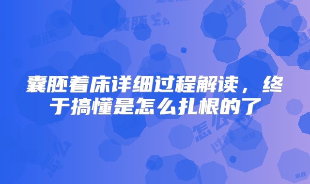囊胚着床详细过程解读,终于搞懂是怎么扎根的了