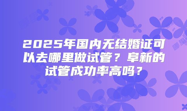 2025年国内无结婚证可以去哪里做试管？阜新的试管成功率高吗？