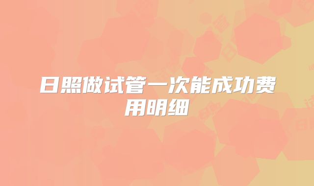 日照做试管一次能成功费用明细