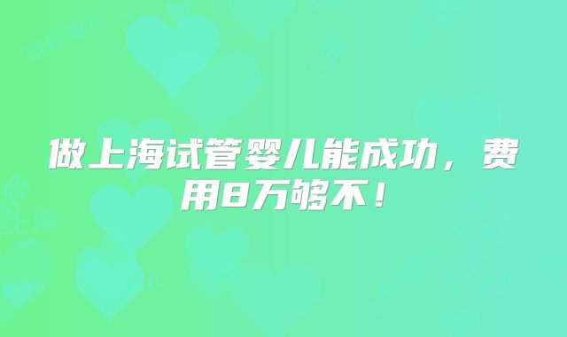 做上海试管婴儿能成功，费用8万够不！