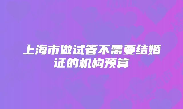 上海市做试管不需要结婚证的机构预算