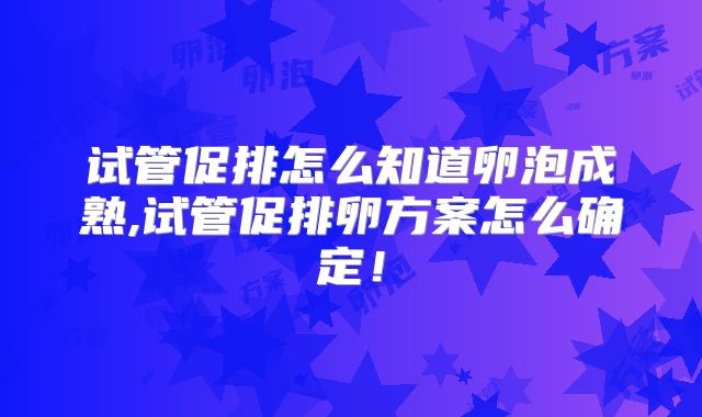 试管促排怎么知道卵泡成熟,试管促排卵方案怎么确定！