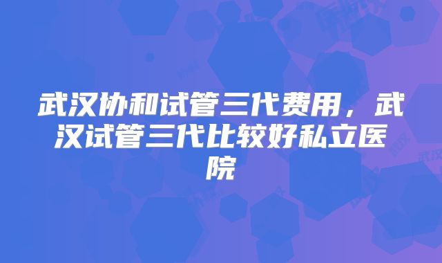 武汉协和试管三代费用,武汉试管三代比较好私立医院