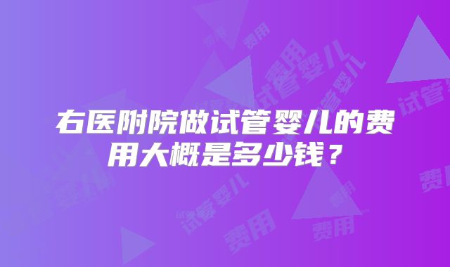右医附院做试管婴儿的费用大概是多少钱？