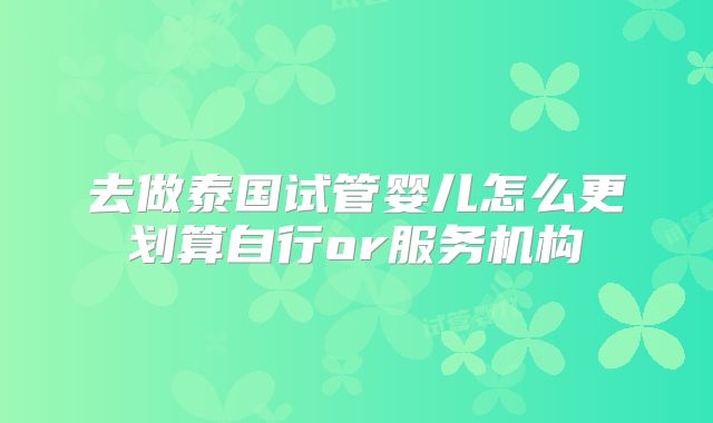 去做泰国试管婴儿怎么更划算自行or服务机构