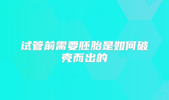 试管前需要胚胎是如何破壳而出的
