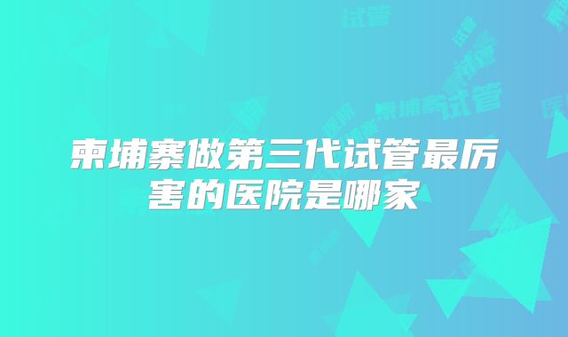 柬埔寨做第三代试管最厉害的医院是哪家