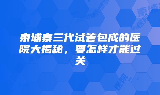 柬埔寨三代试管包成的医院大揭秘，要怎样才能过关