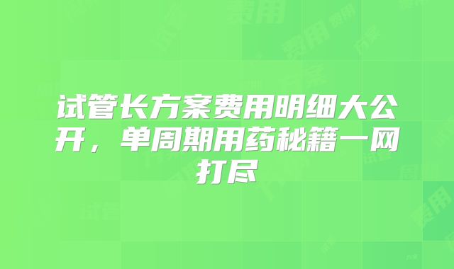 试管长方案费用明细大公开,单周期用药秘籍一网打尽