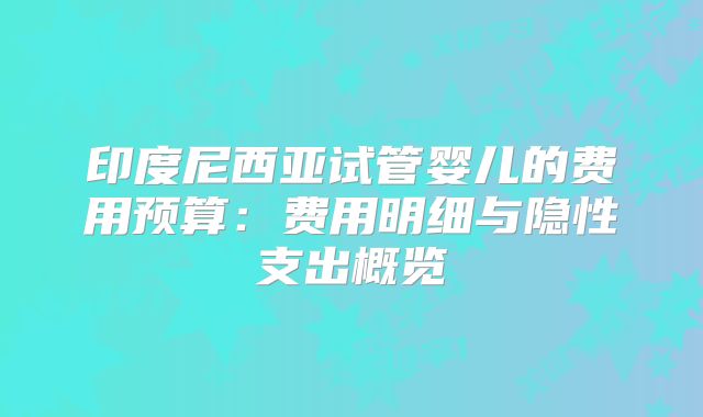 印度尼西亚试管婴儿的费用预算：费用明细与隐性支出概览