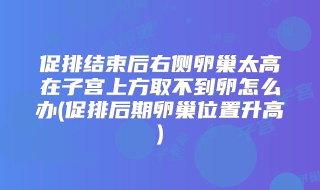 促排结束后右侧卵巢太高在子宫上方取不到卵怎么办(促排后期卵巢位置升高)