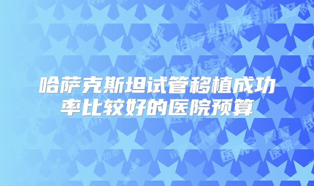 哈萨克斯坦试管移植成功率比较好的医院预算