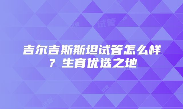 吉尔吉斯斯坦试管怎么样?生育优选之地