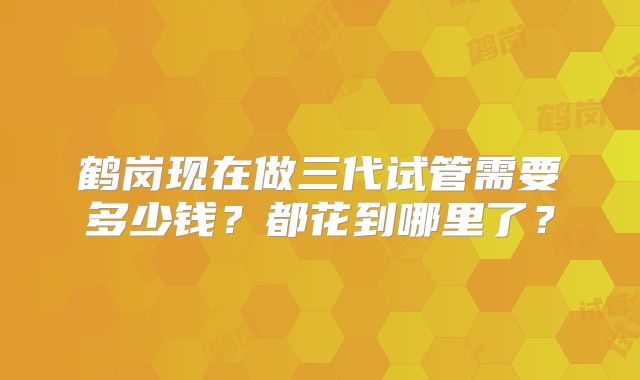 鹤岗现在做三代试管需要多少钱？都花到哪里了？
