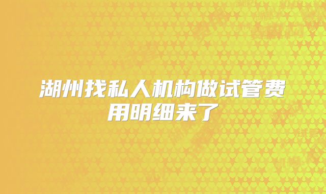 湖州找私人机构做试管费用明细来了
