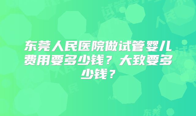 东莞人民医院做试管婴儿费用要多少钱？大致要多少钱？