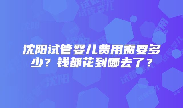 沈阳试管婴儿费用需要多少？钱都花到哪去了？