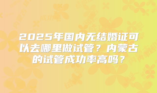 2025年国内无结婚证可以去哪里做试管？内蒙古的试管成功率高吗？